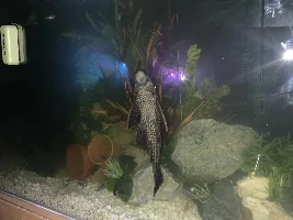 Aren’t you a big boy?