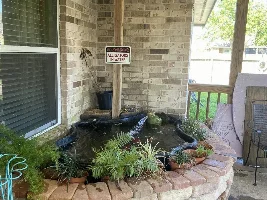 My Garden Pond