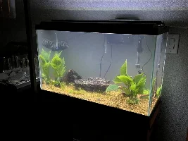 Adding more substrate?