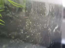 What are these