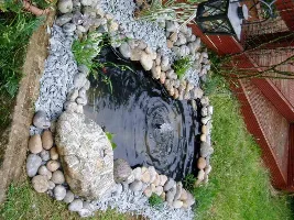 New Pond
