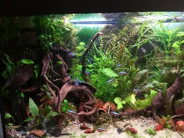 Leaking Tank Leads To New Beginnings