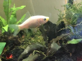 Hello!