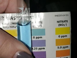 Do you do water changes while cycling?