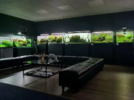 Aqua Scaping
