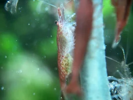 My 60L Cube