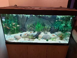 River stream 53g