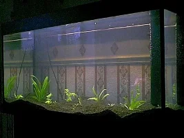 My New Rio 300