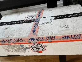 Rob's 450L oscar aquarium - from North London to the Amazon