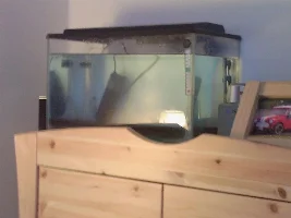 Ckyfish's First Planted Tank