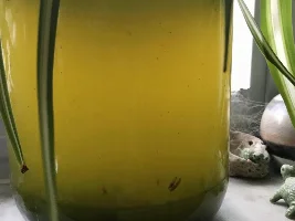 Scud farm