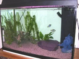My 14 Gallon