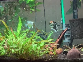 Plants are AWFUL