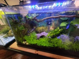 Cleaning and water changes complete!