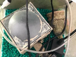 Digging out my old Fluval Chi - Ideas Please :)
