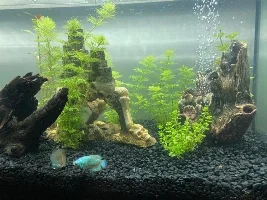 190L Tropical Journal