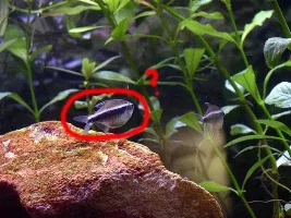 Could this be...?