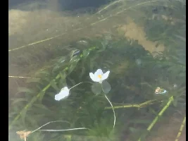1 year of fish keeping!!