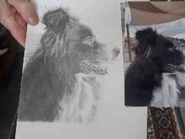 Thread for sharing art