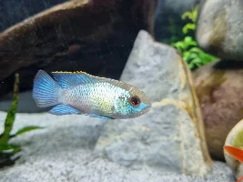 Favorite Fish Photos