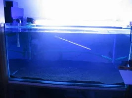 Yay new tank
