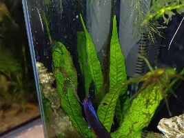 My new 5 gallon