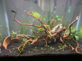 New planted tank!!