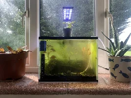 No Electricity Eco Shrimp Tank