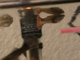 female guppy suddenly has big belly, her fins are down, and is very aggressive. gravid spot got bigger, and is currently pooping