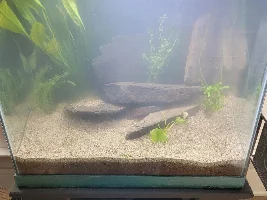 My obligatory Intro post!