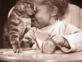 Animal Addictions