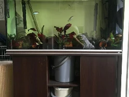 Upgrading lighting in old 4’ Rena