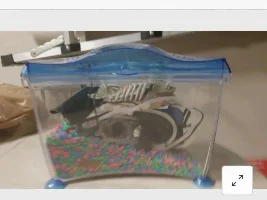 Cory Cats will arrive tomorrow!!