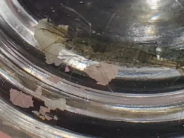 need help making sure these are ghost shrimp