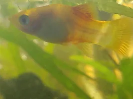 I need help. What's going on?