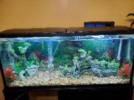 NEW TO THE GROUP