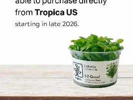 Tropica coming to the U.S.