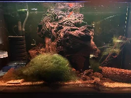 Fluval Spec Five