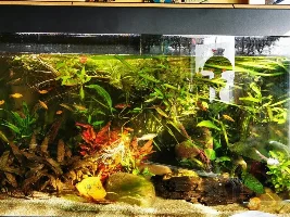 63g - new build