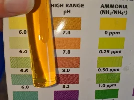 Few fish in Cycle questions