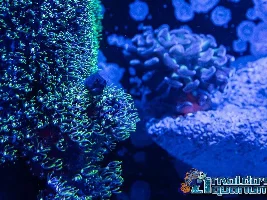 New photos! Take a look!