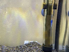 Is my tank cycled ?