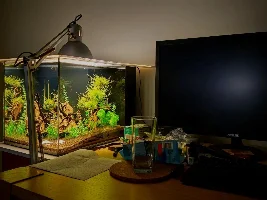 Show me your cube tanks!!