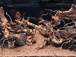 Aquatopia - 6x2x2 Low-Med Light, High Tech Nature Aquarium