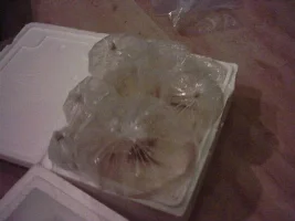 My New Aquarium