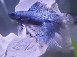 very new and very confused, please help!