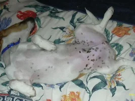 Porno Images