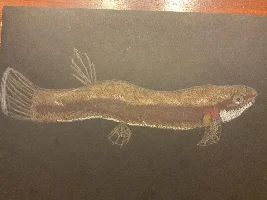 Artwork on black paper