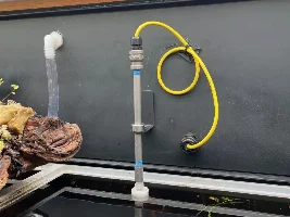 The great rebuild of my 55 gallon fish tank.