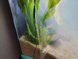 My obligatory Intro post!